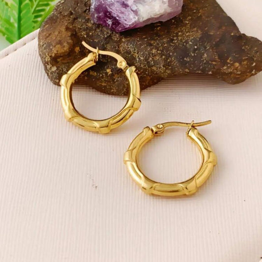 Zarcillos Aretes Top