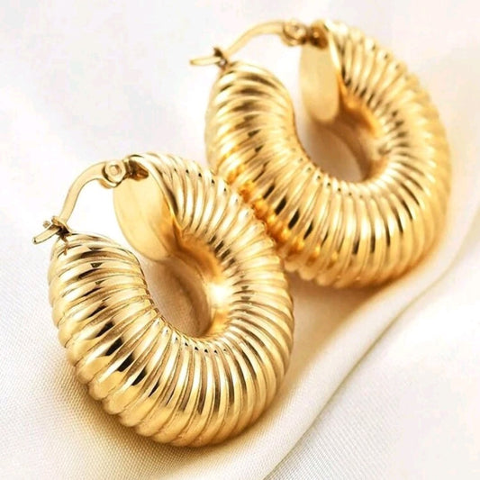 Zarcillos Aretes Tipo Oruga